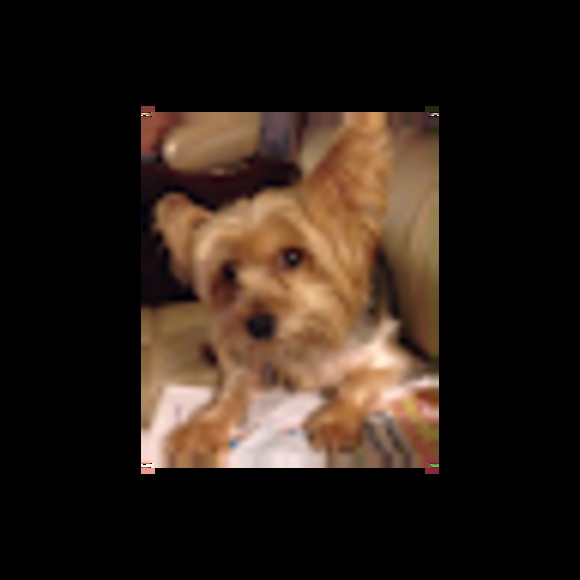 Meet your Posher, Joann - Picture 1 of 1